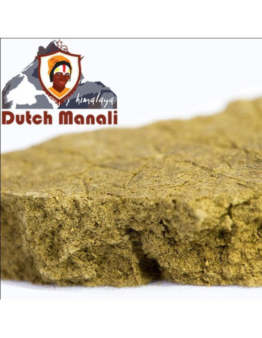 Dutch Manali Himalaya -100% Versichert