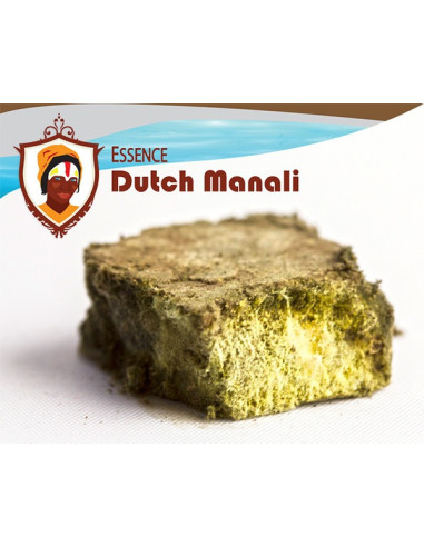 Dutch Manali Essence -100% Versichert