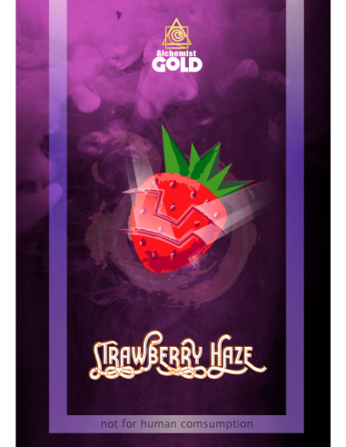 Alchemist Gold - Strawberry Haze - 100% Assuré