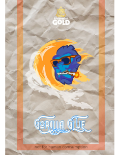 Alchemist Gold - Gorilla Glue - 100% Assuré