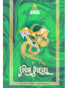 Alchemist Gold - Sour Diesel - 100% Assuré