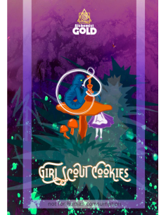 Alchemist Gold - GSC - 100% Assuré