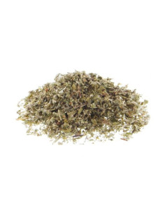 Alchemist Gold - Amnesia -100% Versichert 2