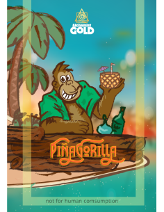 Alchemist Gold - PiñaGorilla - 100% Assuré