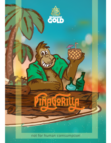 Alchemist Gold - PiñaGorilla - 100% Assuré