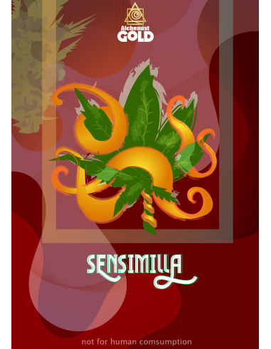 Alchemist Gold - Sinsemilla - 100% Assuré