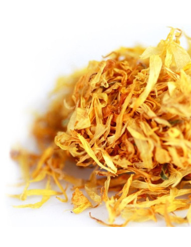 Dutch Orange - Gold blend