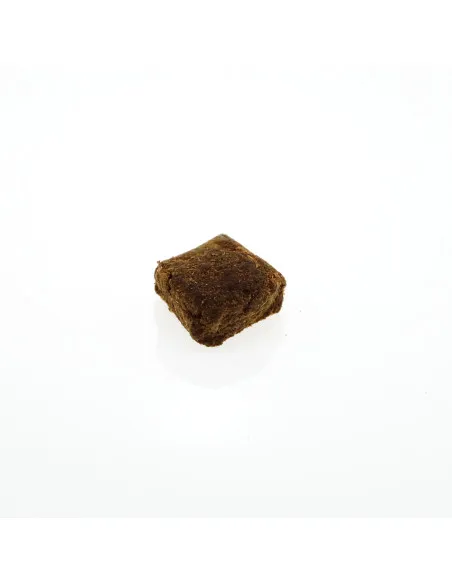 Dutch Manali Shiva Dutch Manali Shiva