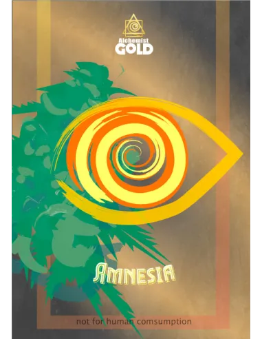 Alchemist Gold - Amnesia