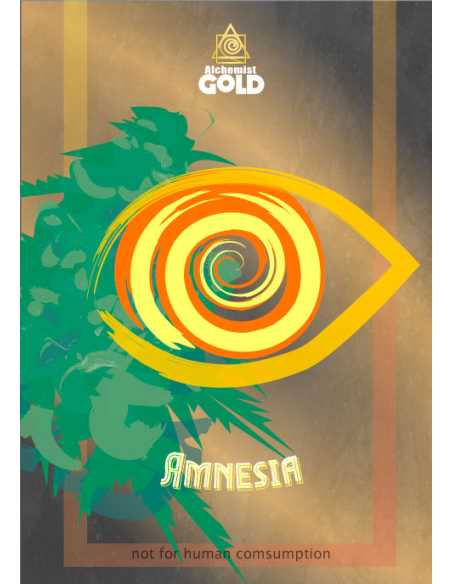 Alchemist Gold - Amnesia Alchemist Gold - Amnesia