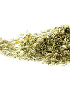 Dutch Orange - Easy Smoke -100% Versichert 2