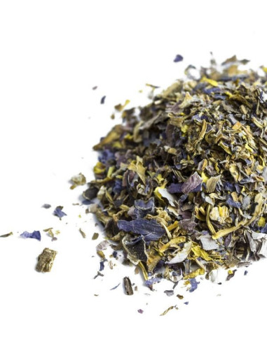 Dutch Orange - Flowers - 100% Insured