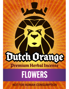 Dutch Orange - Flowers - 100% Assuré