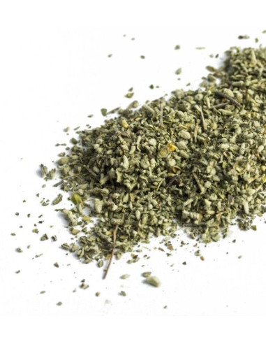 Dutch Orange - Long Lasting -100% Versichert