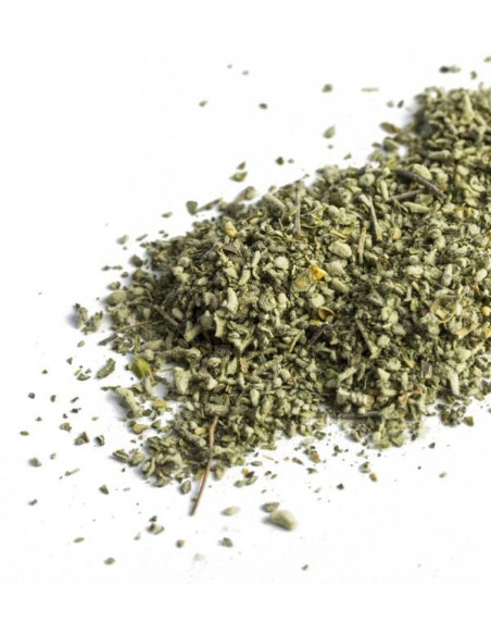 Dutch Orange - Long Lasting -100% Versichert Dutch Orange - Long Lasting -100% Versichert